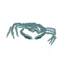 1653-Crab